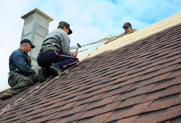 Best Gutter Installation and Roofing  in Allyn, WA