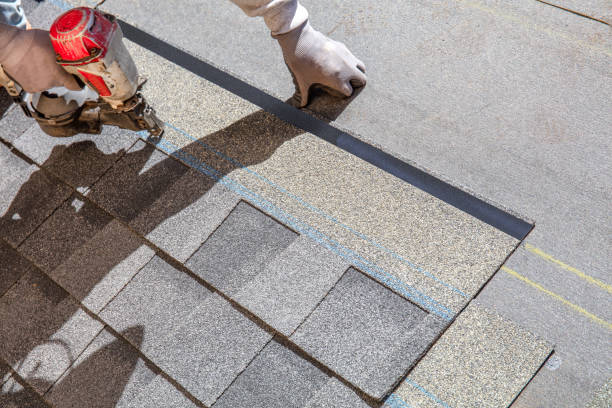 Best Roof Gutter Cleaning  in Allyn, WA